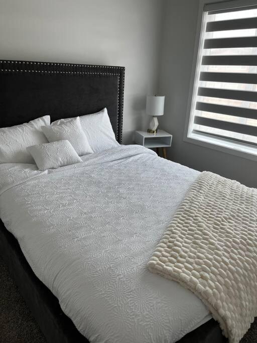 Brand New - Home Away From Home In Nw YYC المظهر الخارجي الصورة